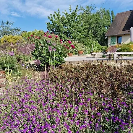 Maison Cosy - Normandie - Haras Du Pin 30' Fay (Orne)